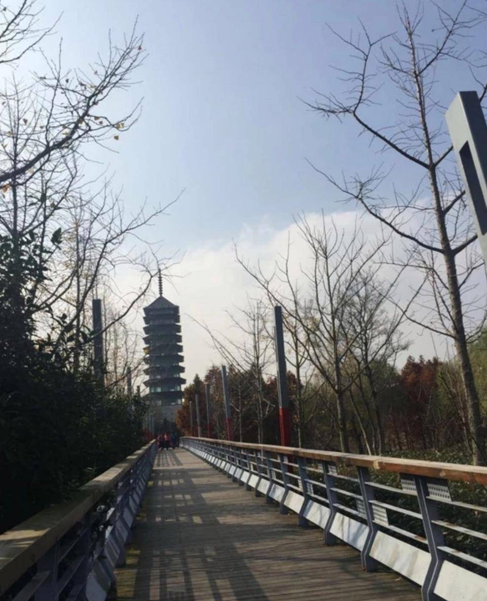 上海宝山友谊公园十分美丽_娱乐_游客_景点