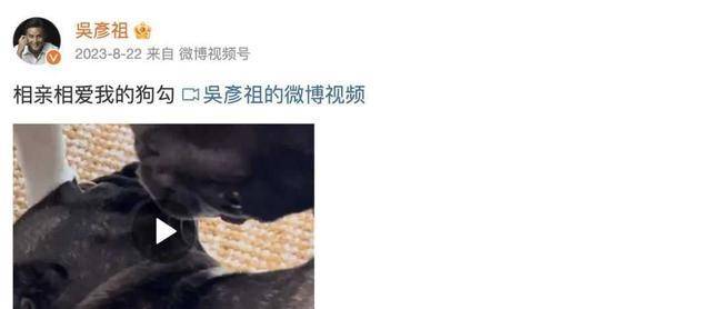 吴彦祖发微博痛批亚裔芭比"太刻板"!网友惊:阿祖你被盗号了?