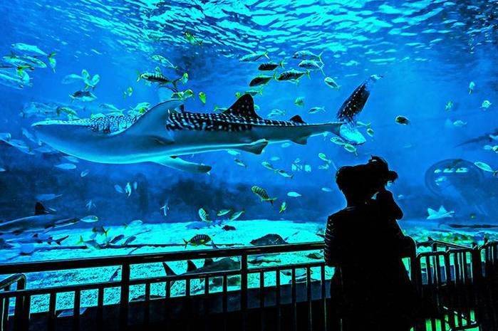 到青岛玩跟团好还是自由行好?3分钟了解吃住行_景点_佳佳_旅游