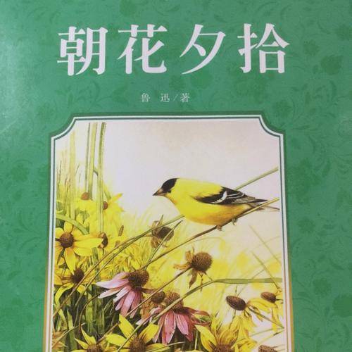 怀旧之情,吕文扬的《朝花夕拾》阅读体验_往事_情感_经历