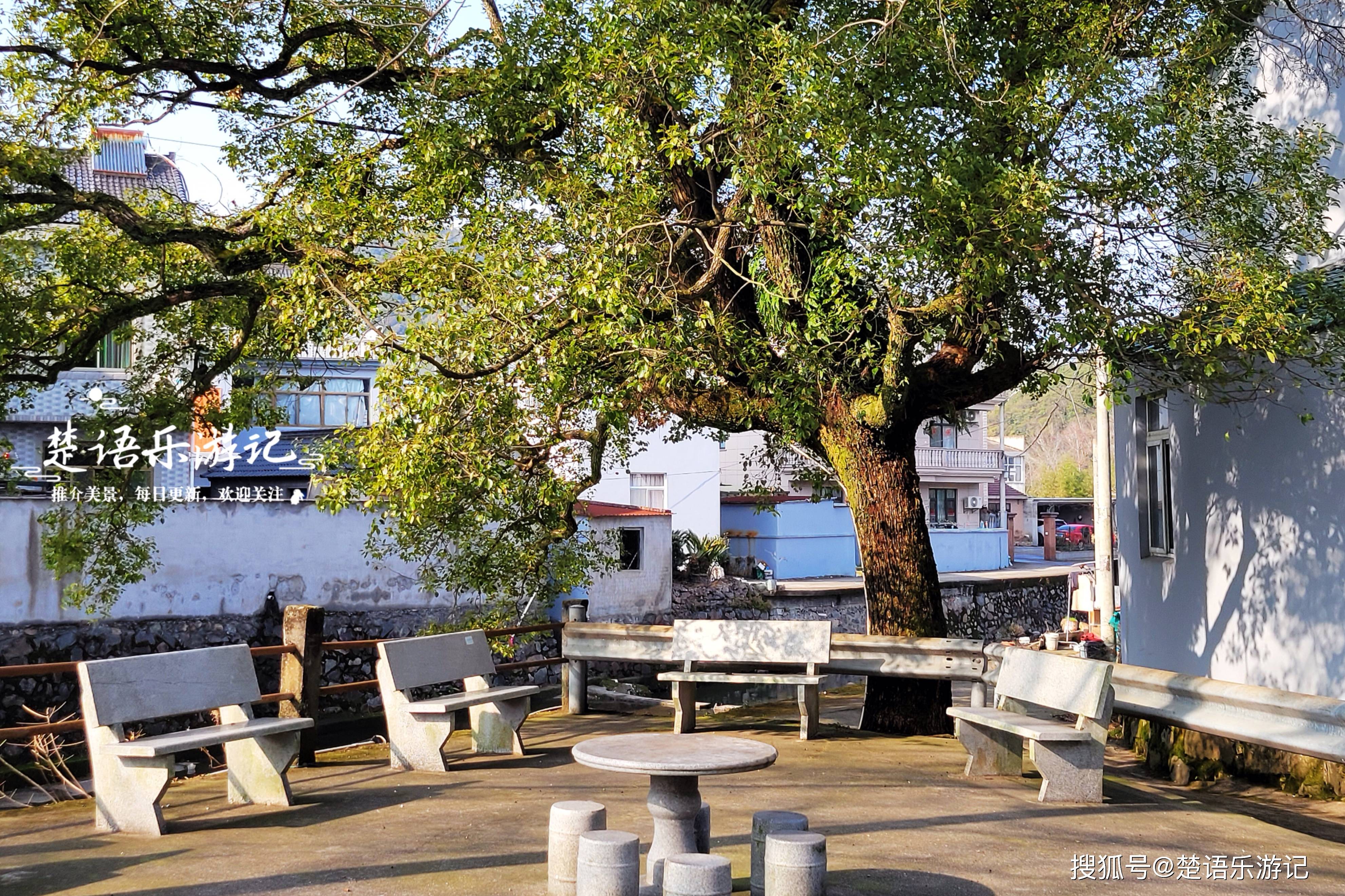 浙江宁波这个居于山岙,被誉为梅花欣赏胜地,清溪水库才是美景