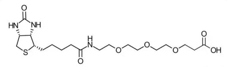 科研试剂:252881-76-8,生物素 peg3 羧酸,biotin peg3 acid_部分_高