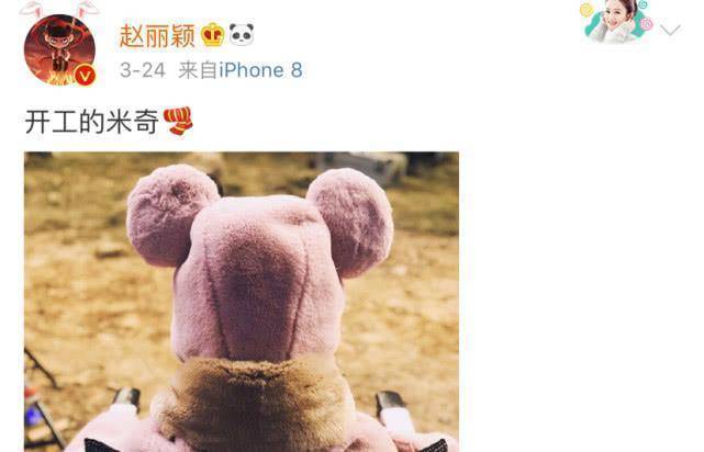 杨幂晒豪宅花园春意盎然,养猫做饭后再添新技能,网友评论扎心了_杨紫