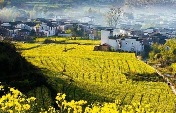 江西婺源跟团二日游多少钱,婺源篁岭旅游景点门票价格_李坑_景区_梯田