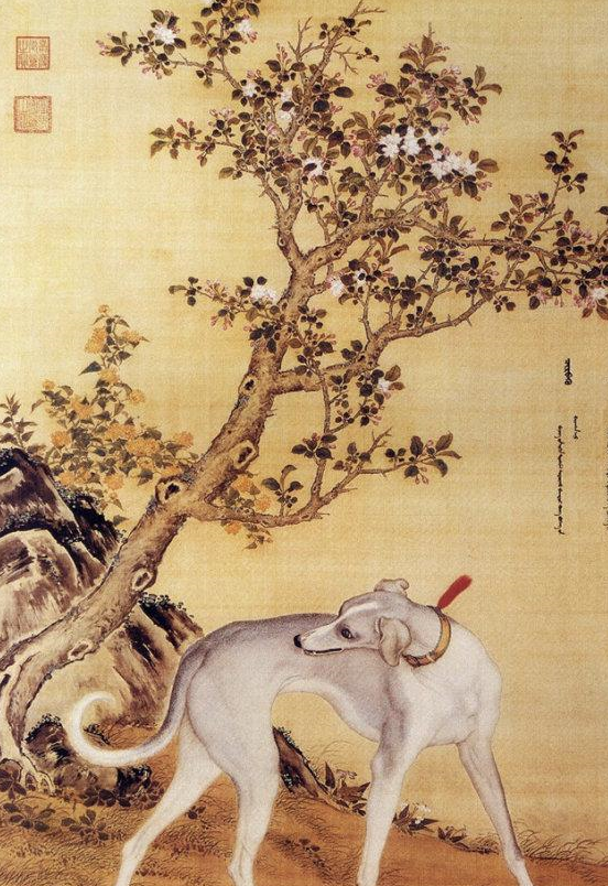 这里面最出名的就是乾隆十犬图,这是郎世宁为乾隆皇帝画的一幅画,这些