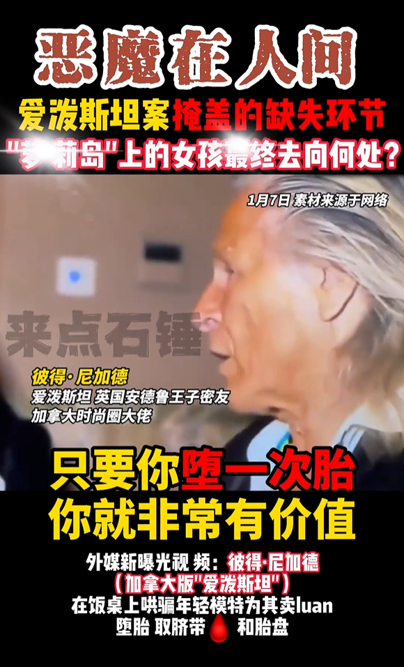 爱泼斯坦_卡罗琳_咏鹅