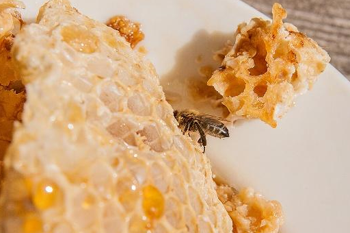 两年前的蜂蜡还可以诱蜂吗?_蜜蜂_蜂箱_因为