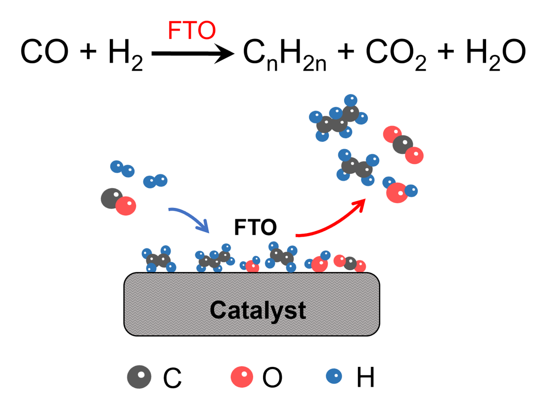 abo0356论文链接:浙大化学工程与生物工程学院院长 申有青 教授本期
