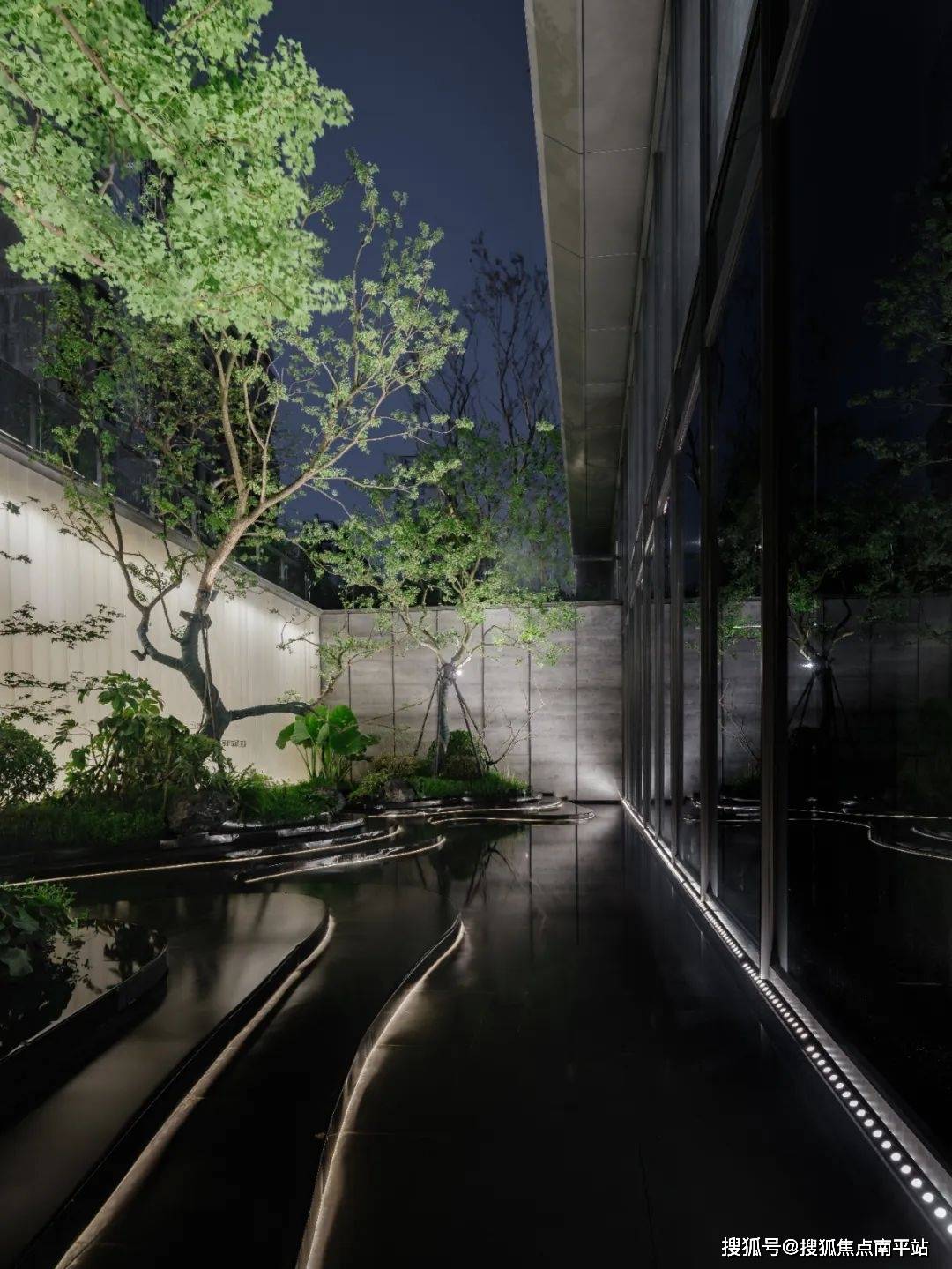 园林实景图√香橼:特选香橼种植于园区,春尽花发,秋来果熟,夏有清荫