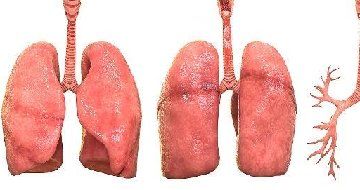 国外已经明令禁止,比抽烟危害还大,中国人却还很青睐!_电子_影响_肺部