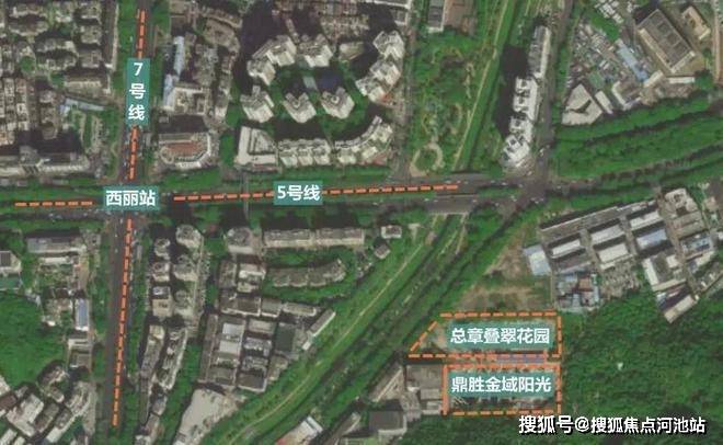 项目_西丽_规划