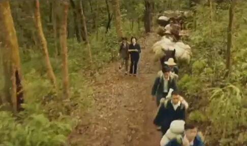 终极笔记:纹身麒麟,进入张家古楼,盘马老爹才是那个最神秘的人_职业