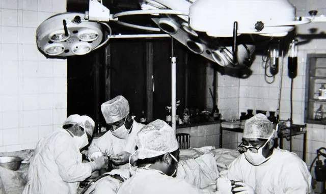 翠菊_何亚胜_工作