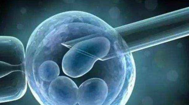 看多莉的下场,你就明白了_进行_利用生物_人类