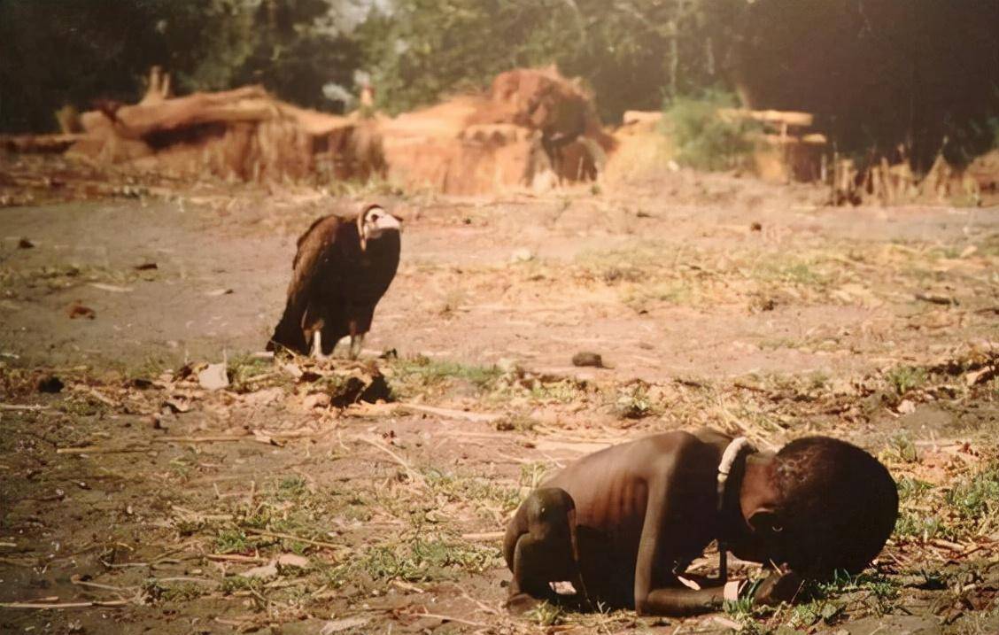 28年前,秃鹫和女童照片震惊世界,摄影师获得大奖后悲惨自杀