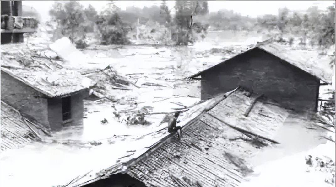 1983年陕西发生洪灾,一个月后街头出现成千上万的蛇,怎么回事?