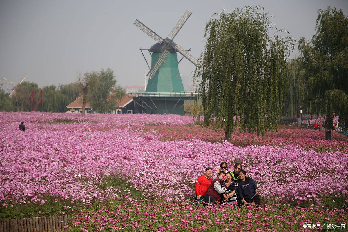 这篇攻略带你快速了解太湖花卉园_活动_花艺_大自然
