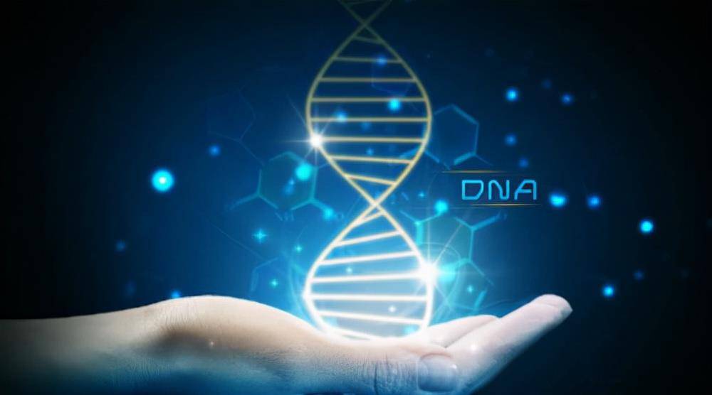 1984年河北工人挖出一具骸骨,警方提取dna,揭开21年前一桩疑案_李杨