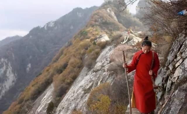 避世隐居终南山,被父亲一脚踹回现实:没钱,别学陶渊明_魏超_人生_道教