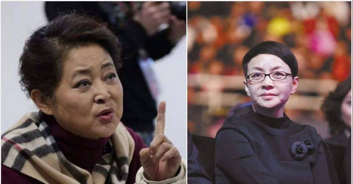 1997年,倪萍救了宋丹丹一命,生死相交,却为何渐行渐远?