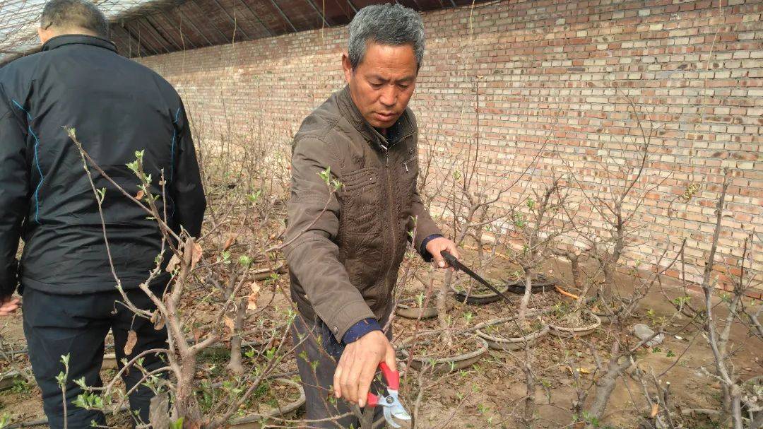 延庆区聚焦京津冀协同发展系列报道丨乡土人才助力京津冀乡村振兴_周
