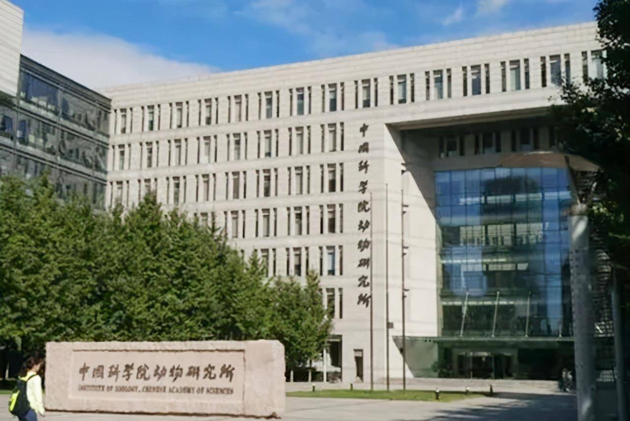 1994年,张金星入深山寻野人,三婚三离称不后悔,27年过去寻到没_神农架