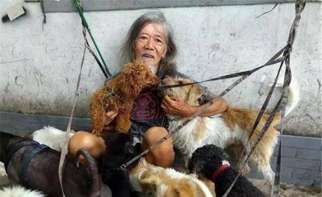 香港富二代郑六三:将5千万遗产挥霍一空后,流浪街头和狗作伴_父母