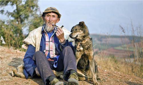 1993年,他带狗参演谢晋电影《老人与狗》,上映后,人狗皆被枪决_程鹏