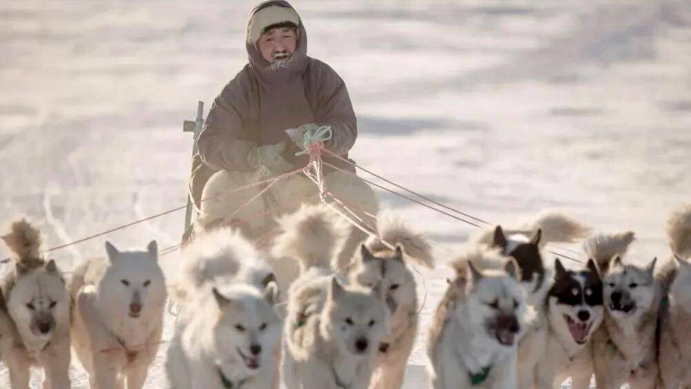 现代爱斯基摩人和他的狗拉雪橇北极的严酷生存环境不仅造就了爱斯基摩