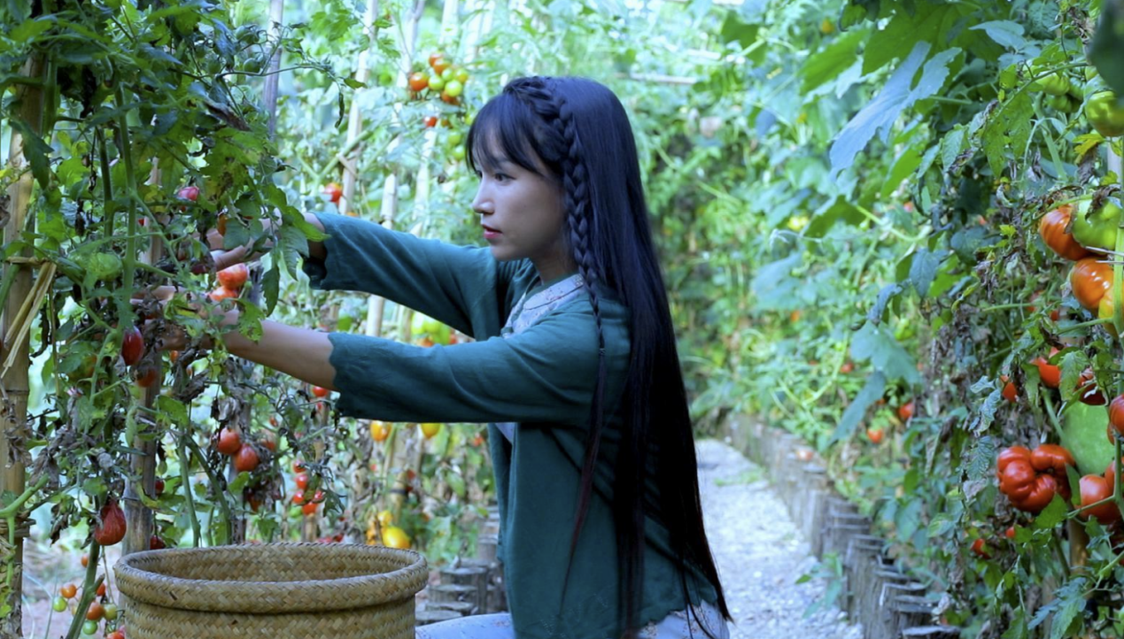 李子柒是中国的,也是世界的_文化_传播_内容