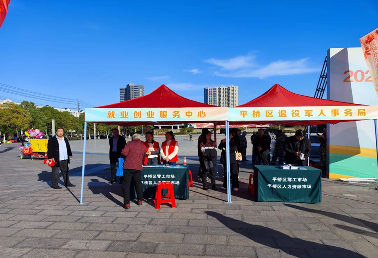 共青团信阳市平桥区委:提升志愿服务 助力优化营商环境_就业_青年