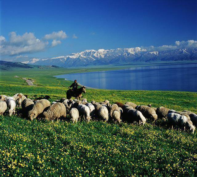 “春季新疆要这样玩”，南疆北疆听我的干货