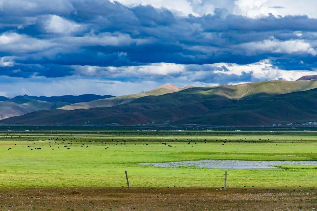 后果你真的承受不了_人类_的地区_条件