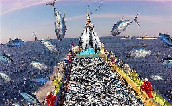 捕捞_时候_手段