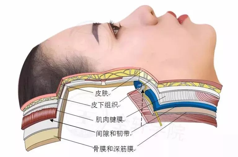 刘庆叶院长 面部筋膜抗衰的重要性