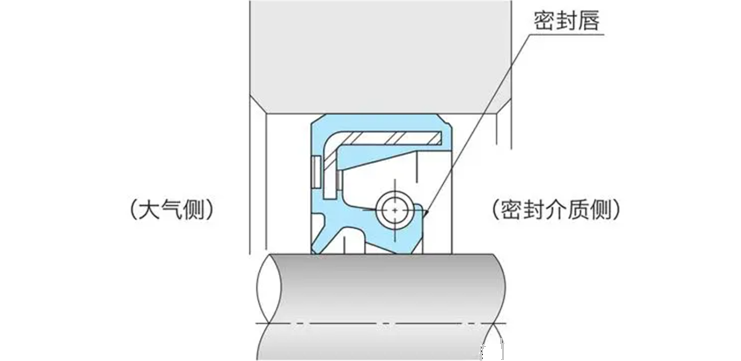 挖机油缸油封结构图图片