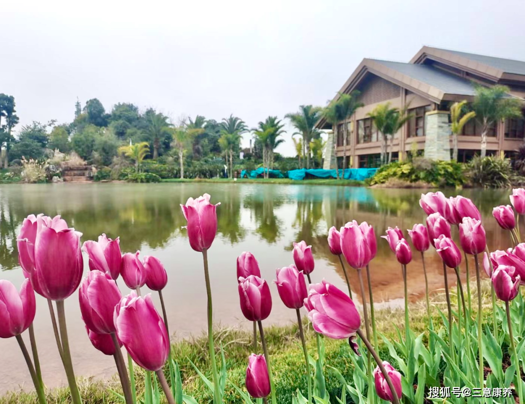 仅需105元一天起包吃住,来云南弥勒泡温泉踏春_房间_设施_正餐