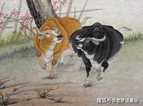 属牛的人圆滑,聪明,对人对事忠诚.到了二月底,你的财运会很吉祥.