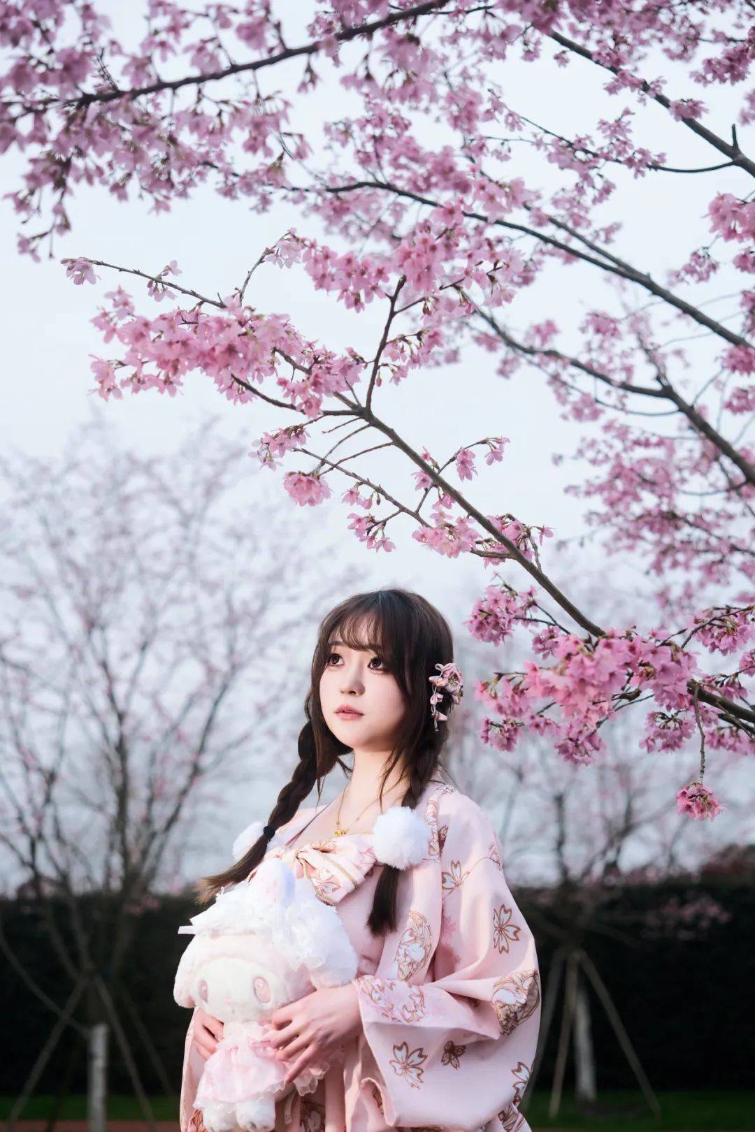 张琦_摄影_lolita