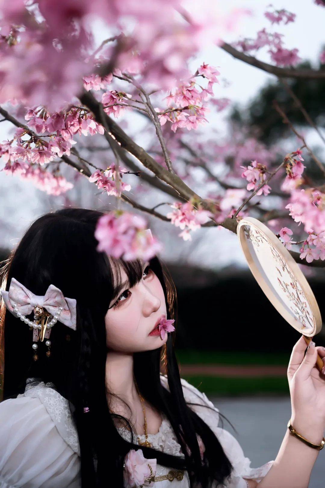 张琦_摄影_lolita