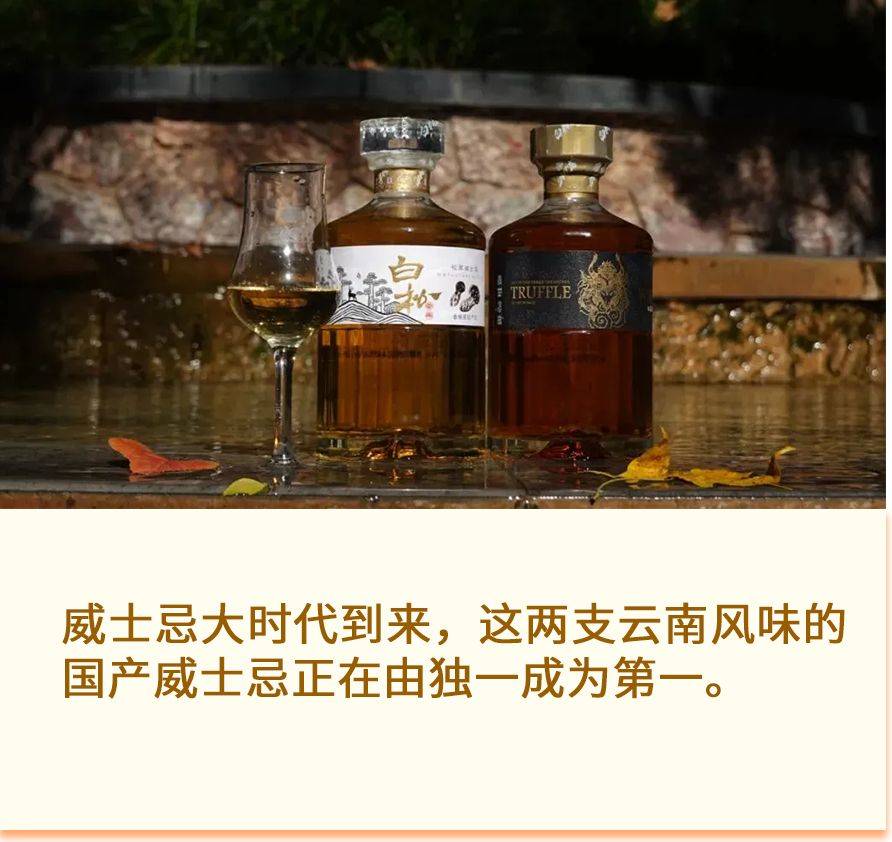 在云贵高原,发现中国威士忌的独特表达_白松_露酒_价值