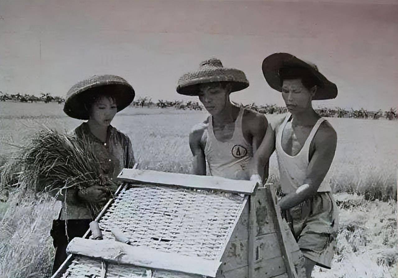 20岁知青小伙下乡,为报恩"下嫁"31岁农妇,至今还在农村_佘林海_张志远