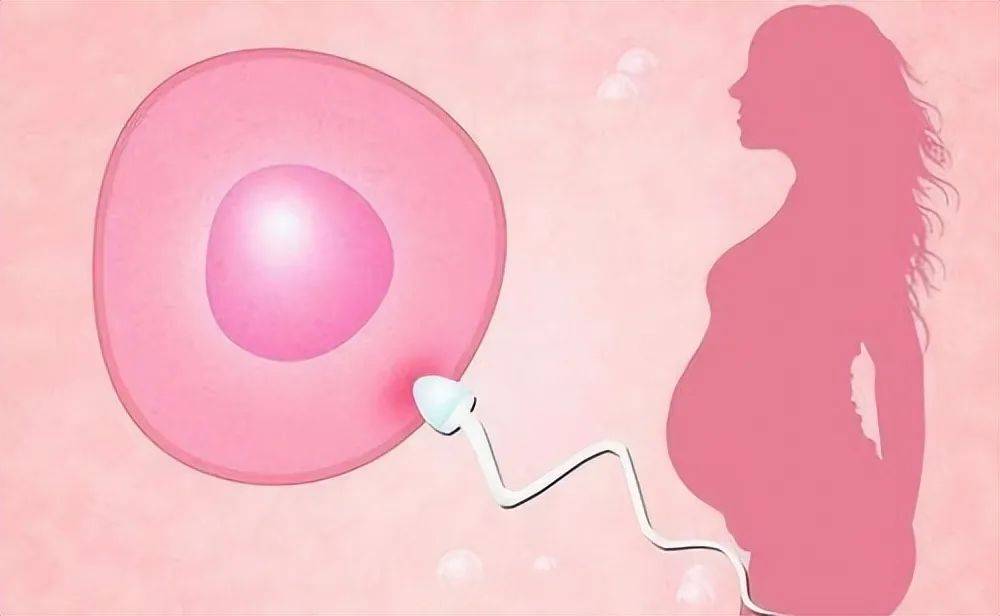 男人能准确嗅出女人的排卵期吗?揭秘排卵期神秘表现!_女性_变化_男性