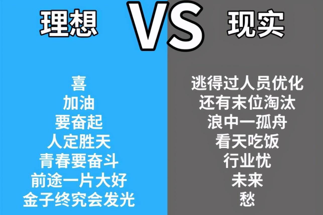 从"灵魂导师"到饱受质疑:白岩松的话里,藏着理想和现实的裂痕_年轻人