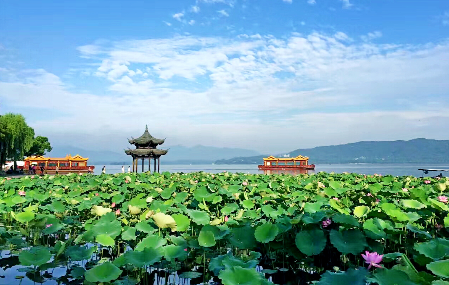 杭州周末"小逃离",用一台领克06 em-p打卡网红美食与古巷秘境_城市