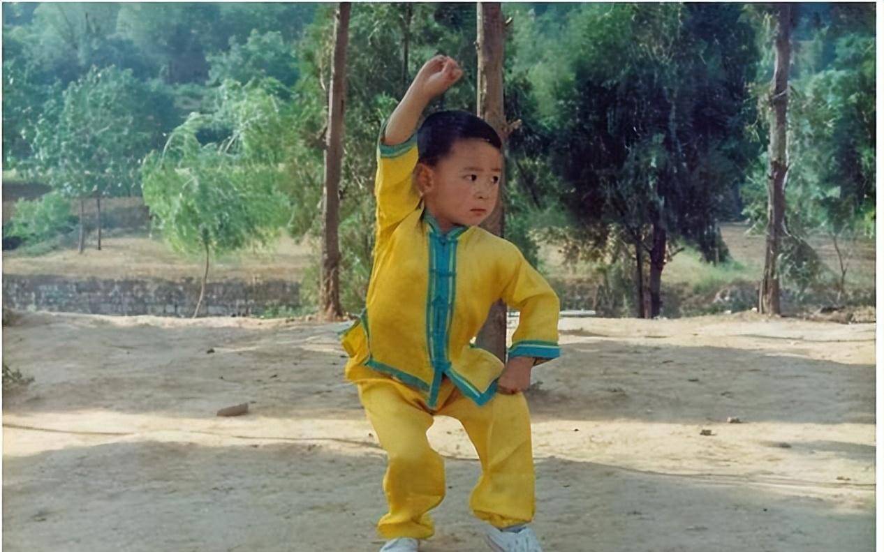 "顶流功夫童星"的唏嘘爱情和被雪藏之谜_释小龙_孩子_儿子