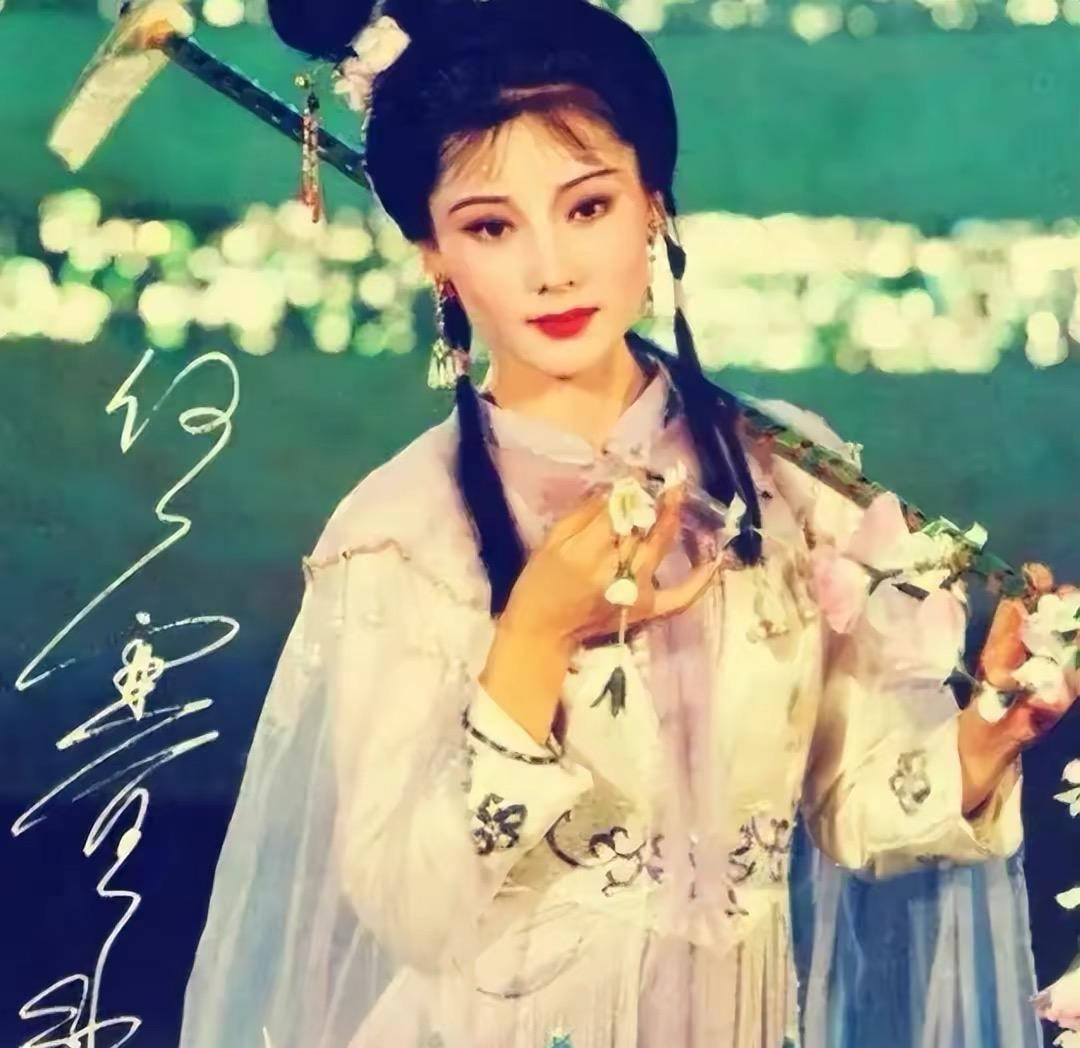 何赛飞丈夫杨楠:为爱甘做家庭煮夫,为爱丁克10年,4