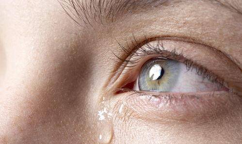 答案令人泪奔_大脑_眼睛_病人