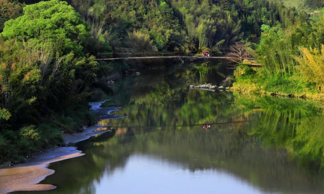 文江溪流域治理进行时,专访梅山镇党委书记吴善寨_处理_生态_工作