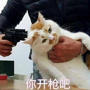 什么是云吸猫?